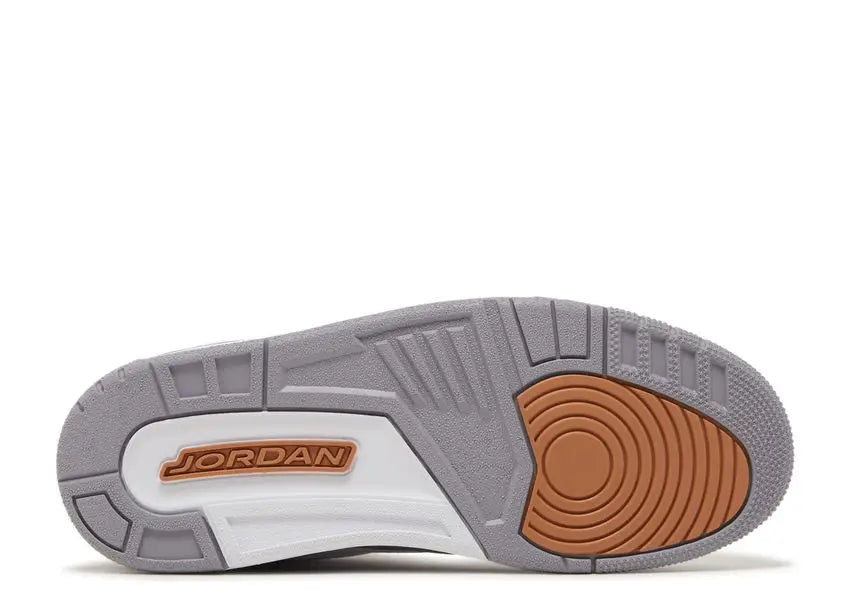 Air Jordan 3 Retro Wizards Air Jordan