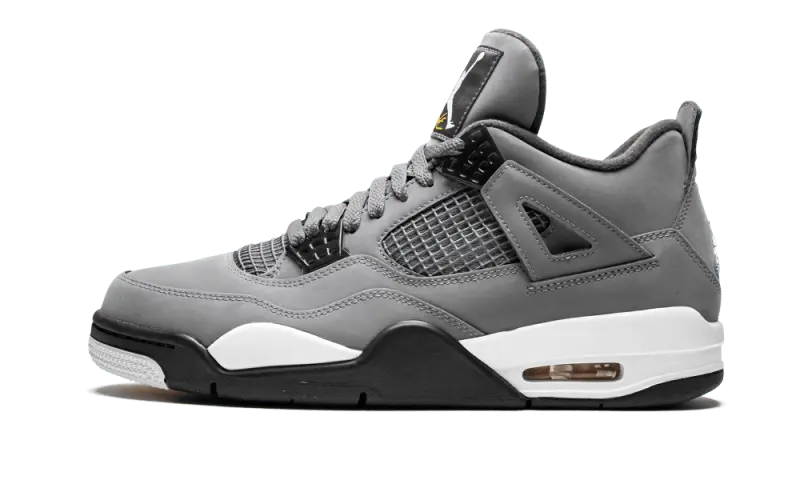 Air Jordan 4 Retro Cool Grey 2019 Air Jordan