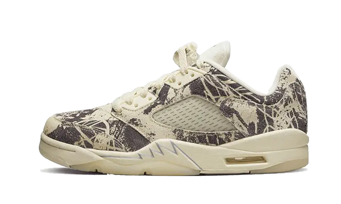 Air Jordan 5 Low Expression Air Jordan