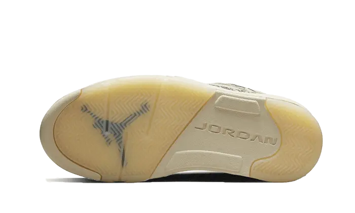 Air Jordan 5 Low Expression Air Jordan