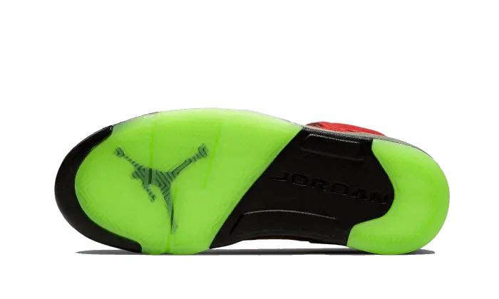 Air Jordan 5 Retro What The Air Jordan