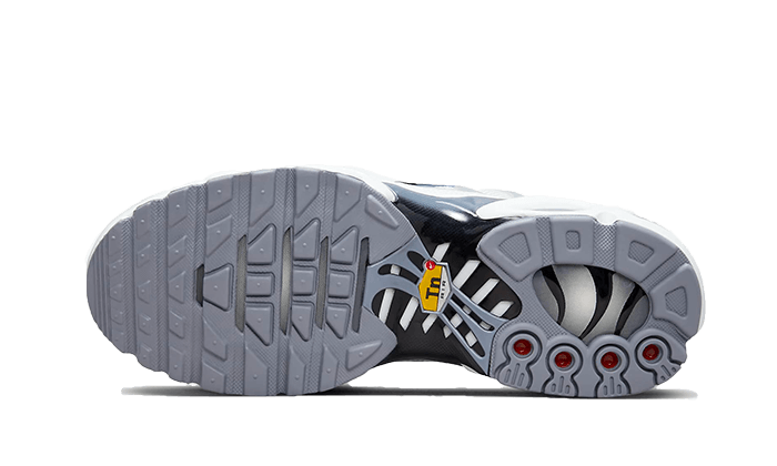 Air Max Plus Sail Grey VOSneakers