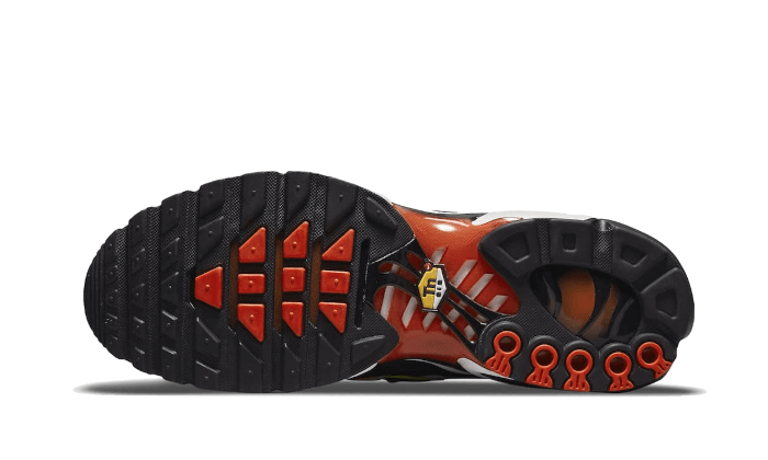 Air Max Plus Sunset Gradient VOSneakers