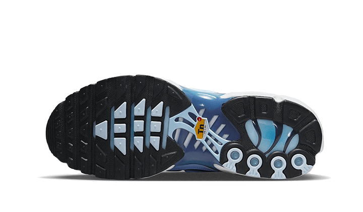 Air Max Plus University Blue Gradient VOSneakers