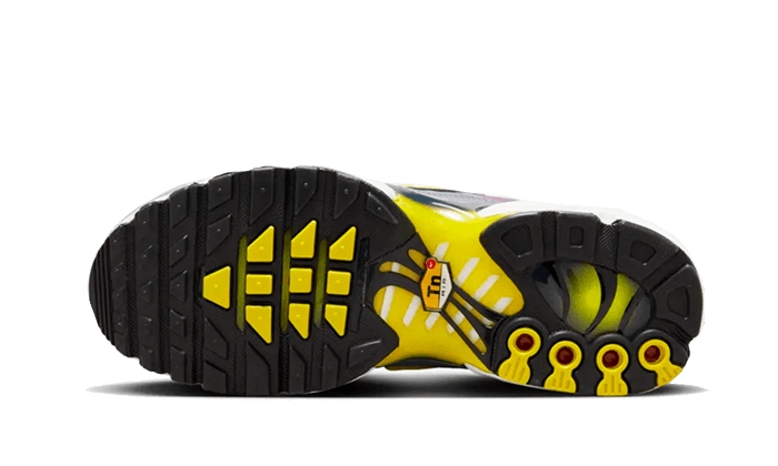 Air Max Plus Violet Dust VOSneakers