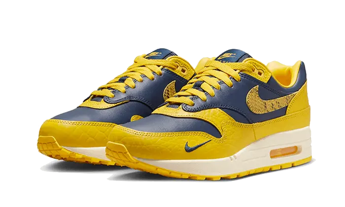 Nike Air Max 1 CO.JP Michigan Nike