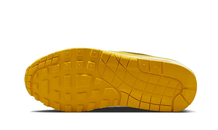 Nike Air Max 1 CO.JP Michigan Nike