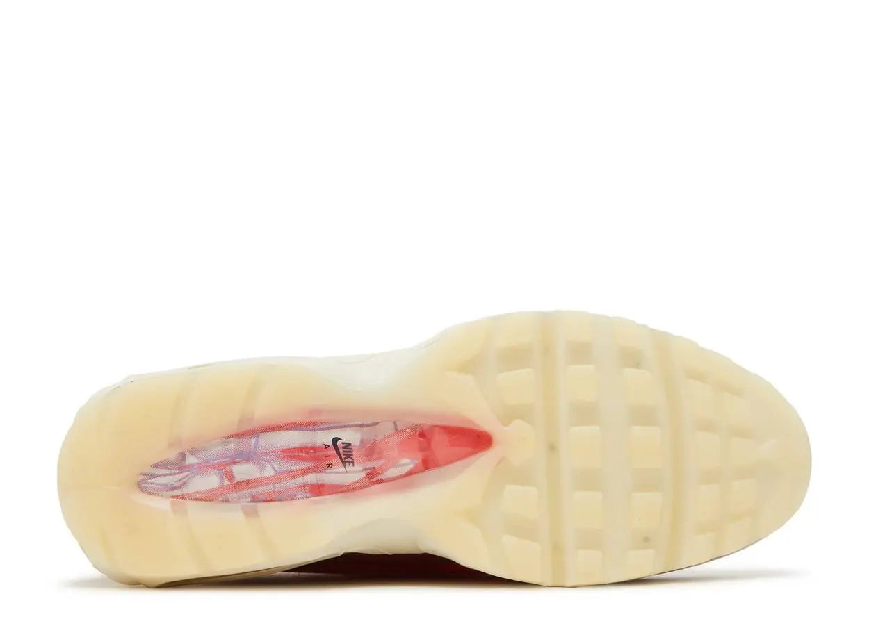 Nike Air Max 95 Anatomy Of Air Nike