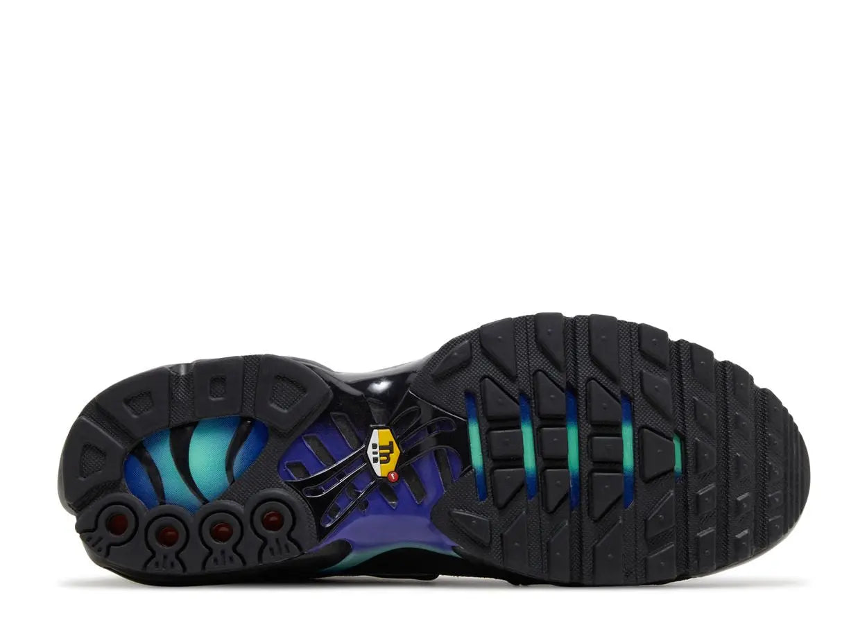 Nike Air Max Plus Black Blue Red Nike