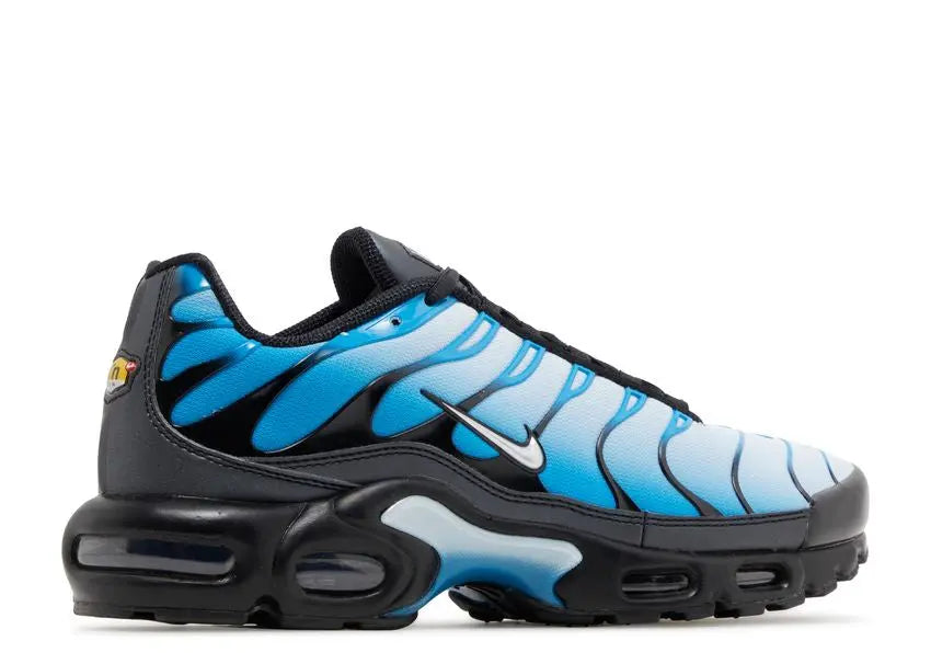 Nike Air Max Plus Blue Gradient Nike