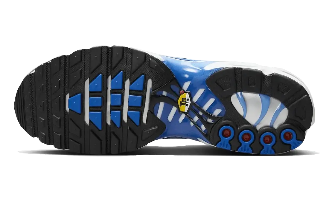 Nike Air Max Plus Light Photography Old Royal VOSneakers