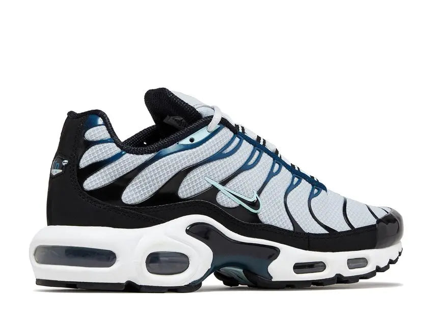 Nike Air Max Plus Pure Platinum Court Blue Nike