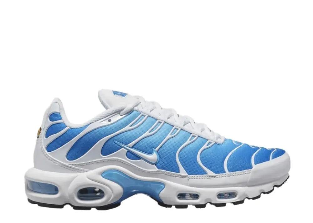 Nike Air Max Plus Sky Blue Nike