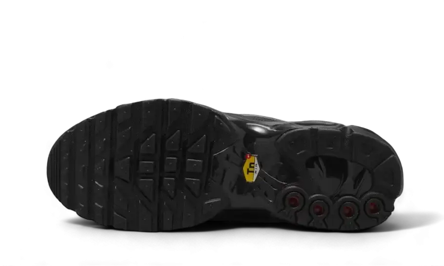 Nike Air Max Plus Tiempo Black White VOSneakers