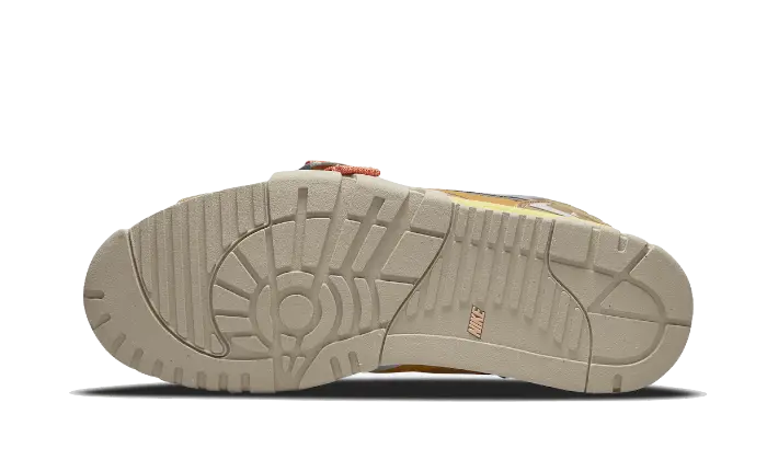 Nike Air Trainer 1 Sp Coriander Nike