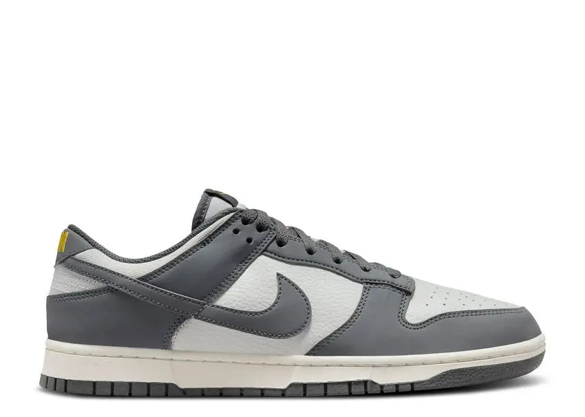Nike Dunk Low Next Nature Iron Grey Lightning Nike