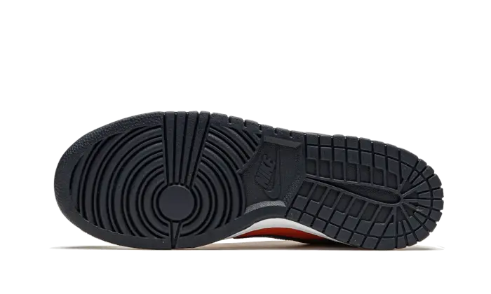 Nike Dunk Low Sp Champ Colors Nike