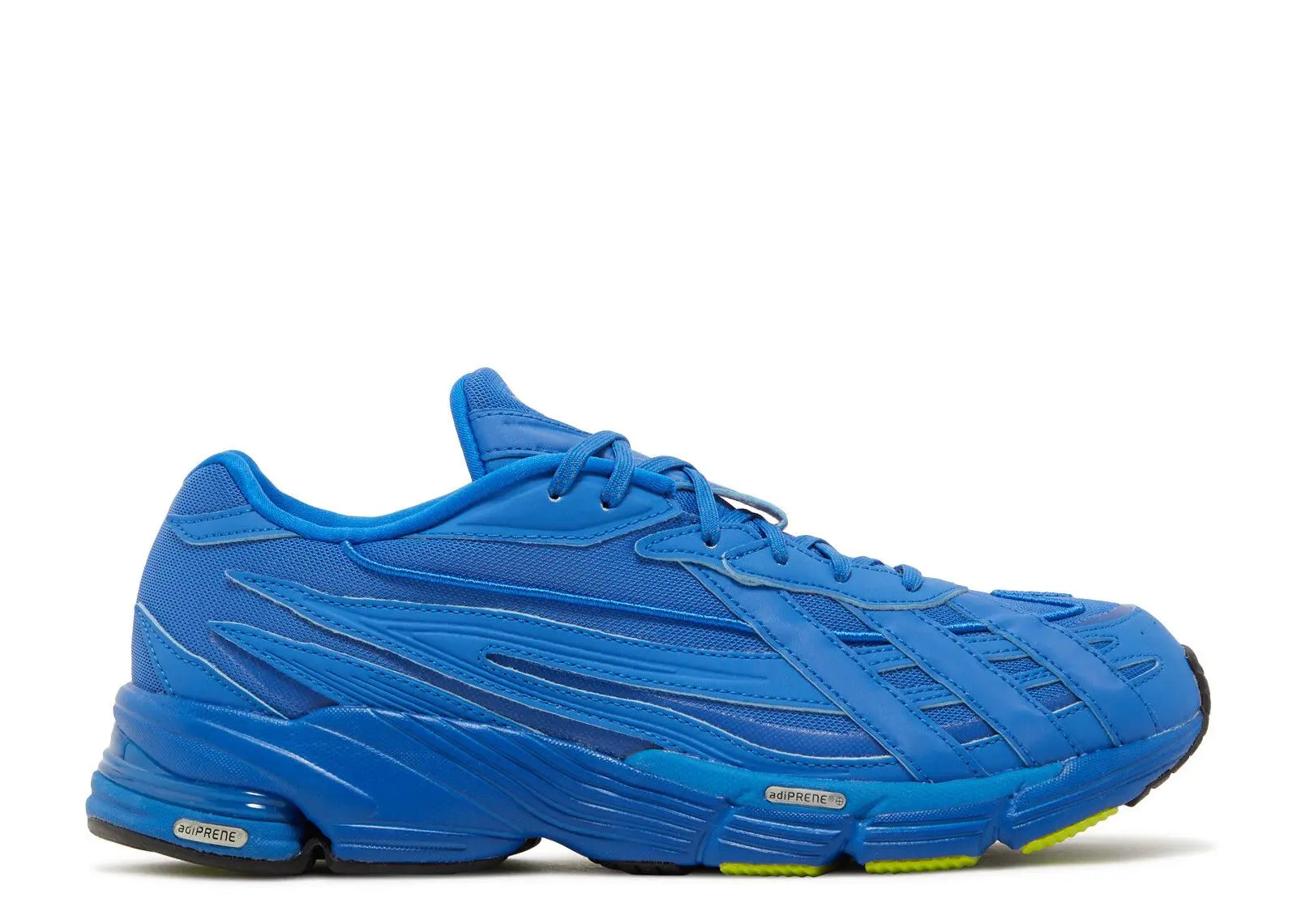 Adidas Orketro Bright Royal Blue Adidas
