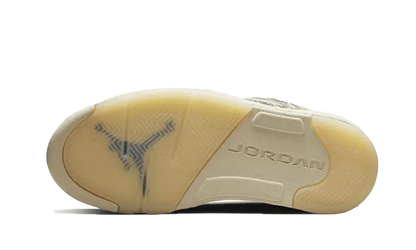Air Jordan 5 Low Expression Air Jordan