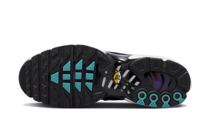 Air Max Plus Reverse Grape VOSneakers