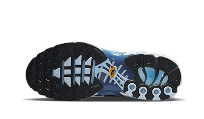 Air Max Plus University Blue Gradient VOSneakers
