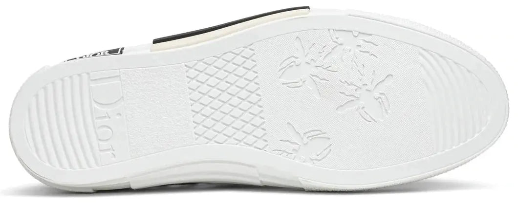 Dior B23 High Oblique Dior