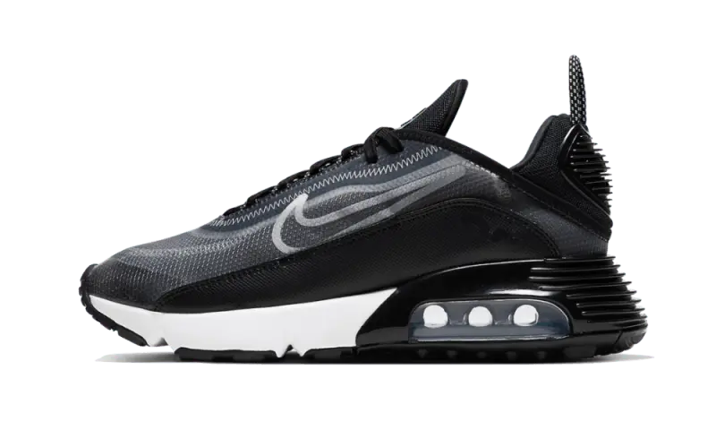 Nike Air Max 2090 Black Nike