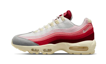 Nike Air Max 95 Anatomy of Air VOSneakers