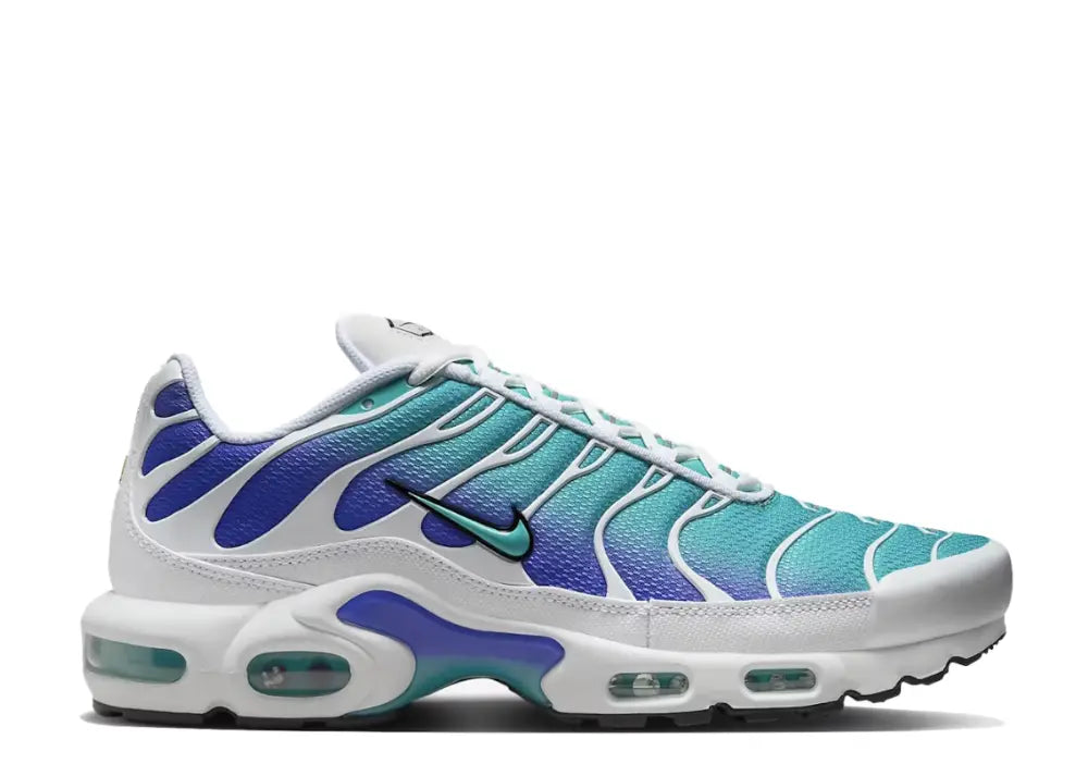 Nike Air Max Plus Aqua Nike