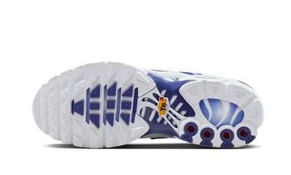 Nike Air Max Plus Blue Fade VOSneakers