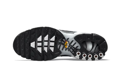Nike Air Max Plus Dark Smoke Grey Nike