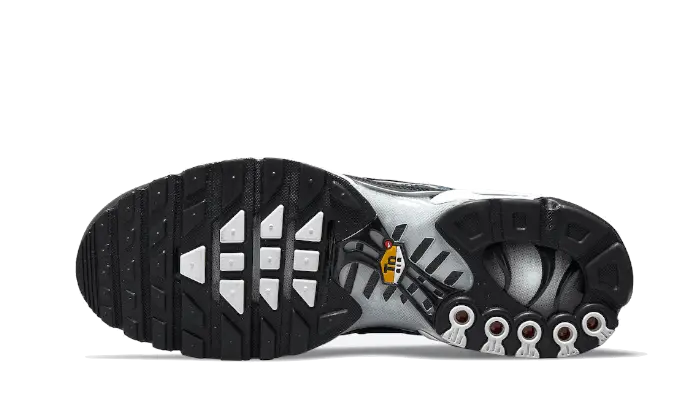 Nike Air Max Plus Dark Smoke Grey Nike