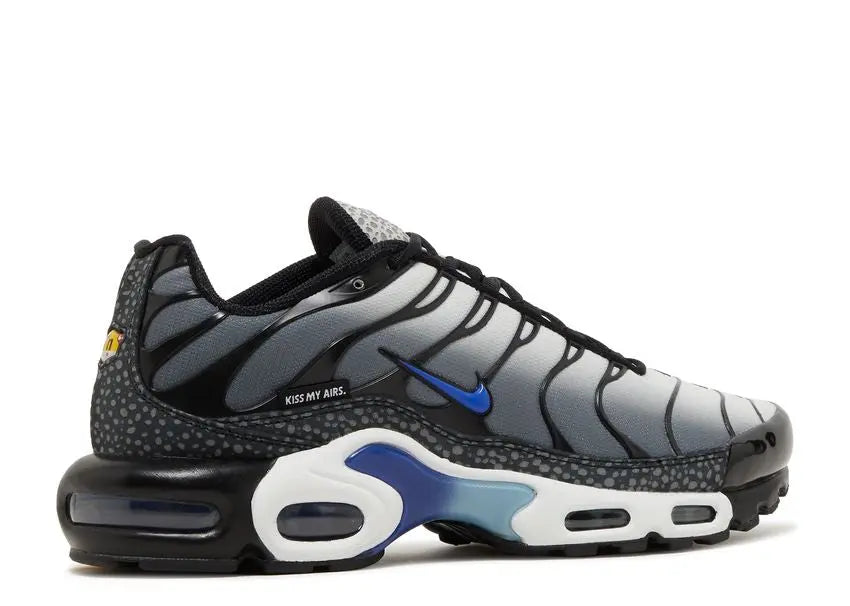 Nike Air Max Plus Kiss My Airs Metallic Silver Nike