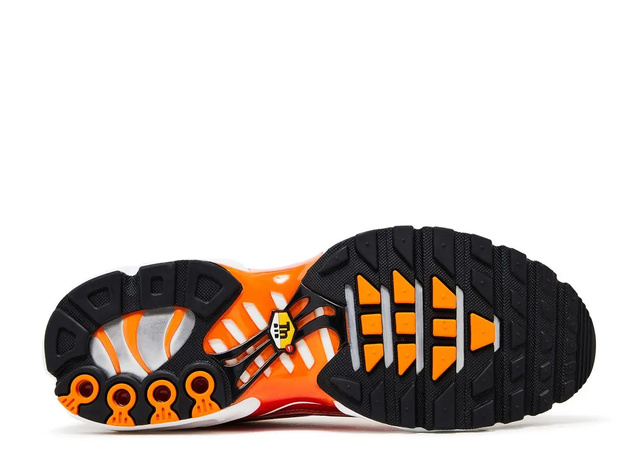 Nike Air Max Plus Light Photography Nike
