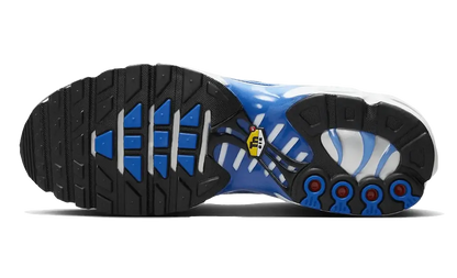 Nike Air Max Plus Light Photography Old Royal VOSneakers