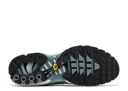 Nike Air Max Plus Origins Waterway Nike