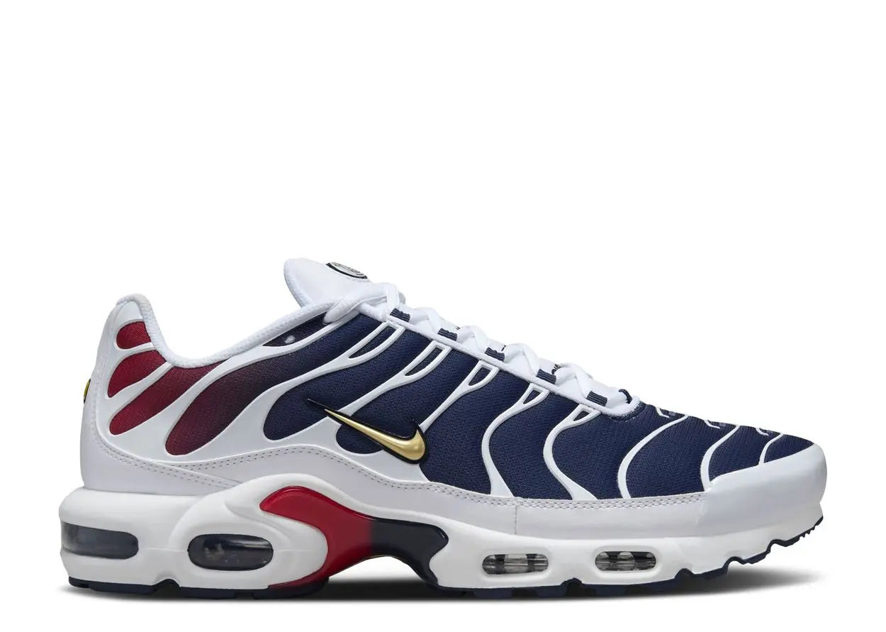 Nike Air Max Plus PSG Nike