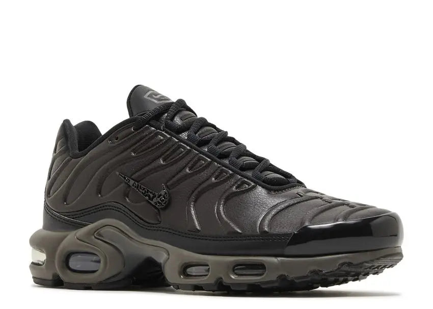 Nike Air Max Plus Premium Paris Nike