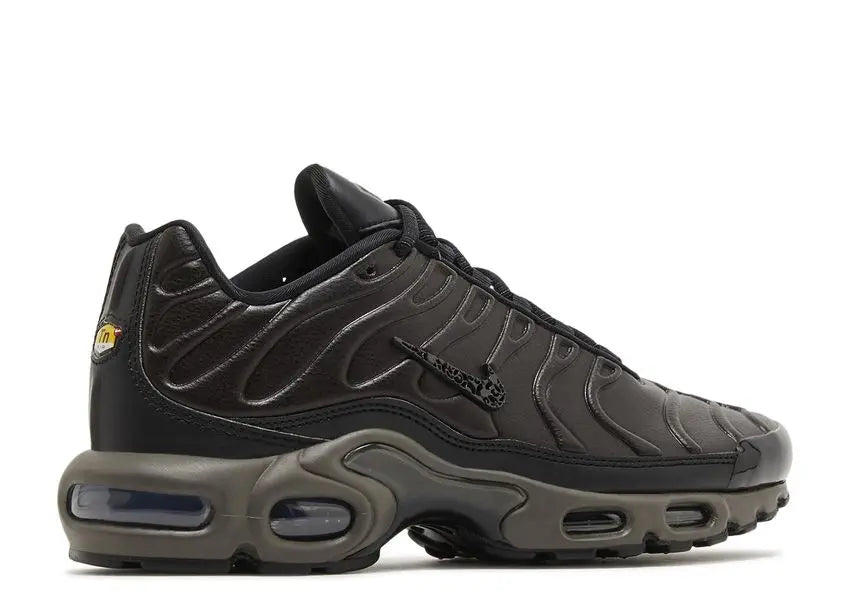 Nike Air Max Plus Premium Paris Nike