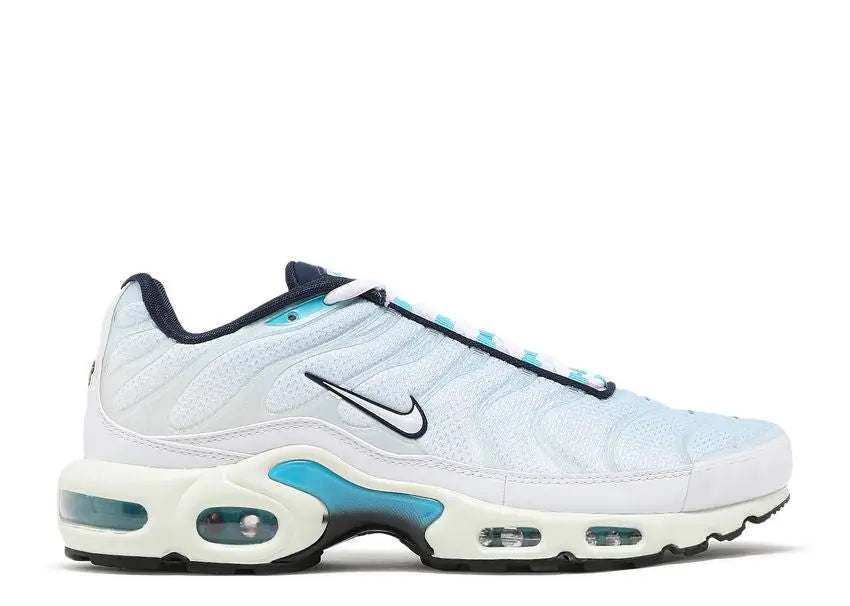Nike Air Max Plus Psychic Blue White Nike