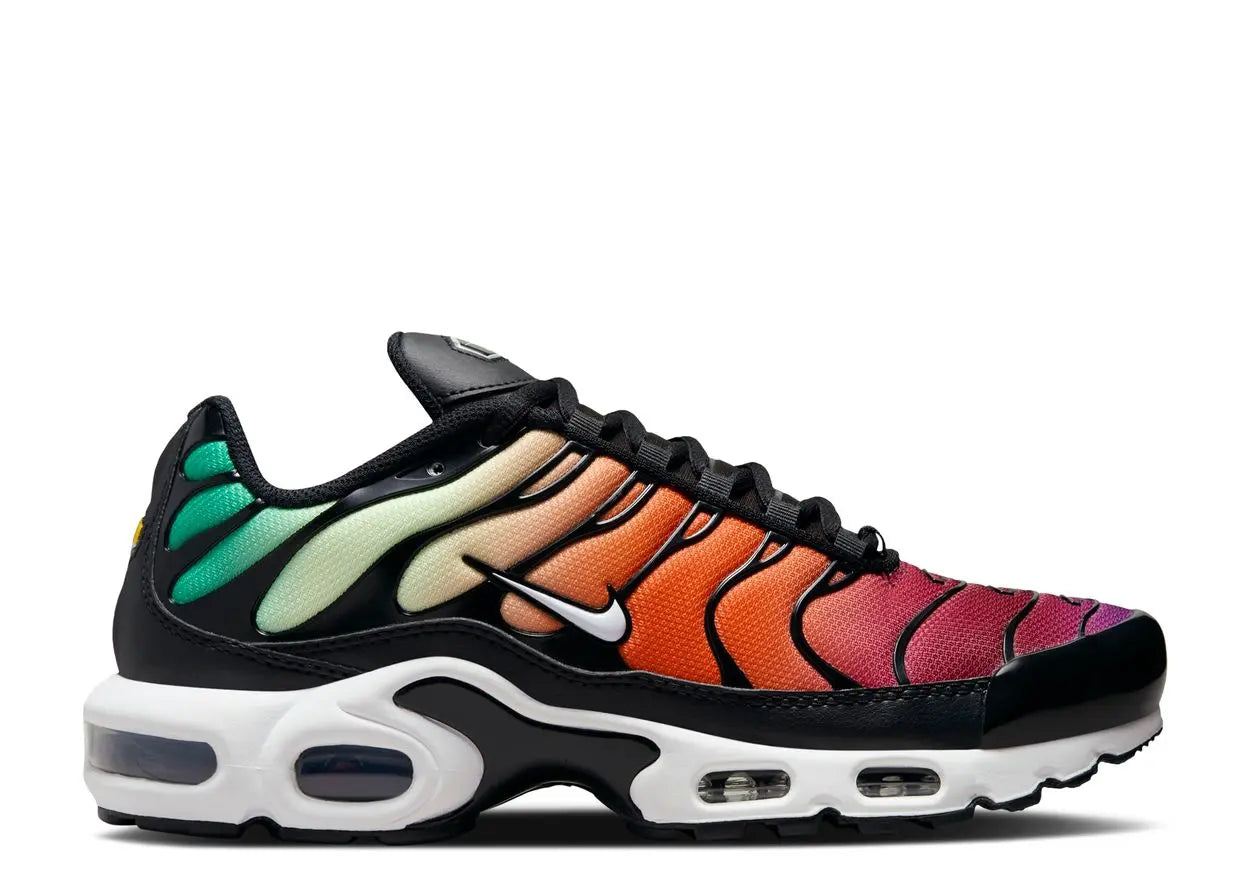 Nike Air Max Plus Rainbow Nike
