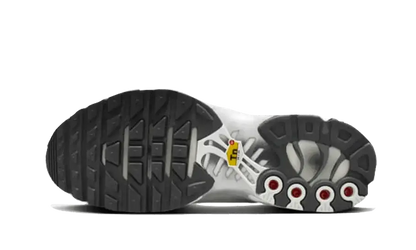 Nike Air Max Plus Reflective Platinum VOSneakers
