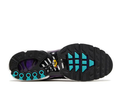 Nike Air Max Plus Reverse Grape Nike