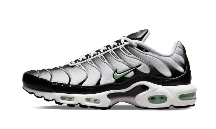 Nike Air Max Plus Seafoam Grey Black Nike