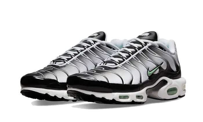 Nike Air Max Plus Seafoam Grey Black Nike