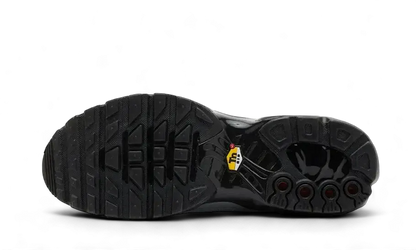 Nike Air Max Plus Tiempo Wolf Grey VOSneakers