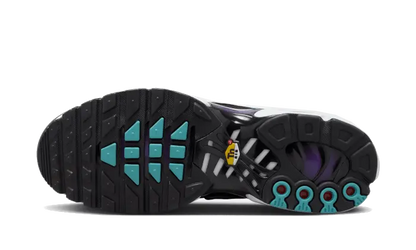 Nike Air Max Plus Tn Reverse Grape Nike