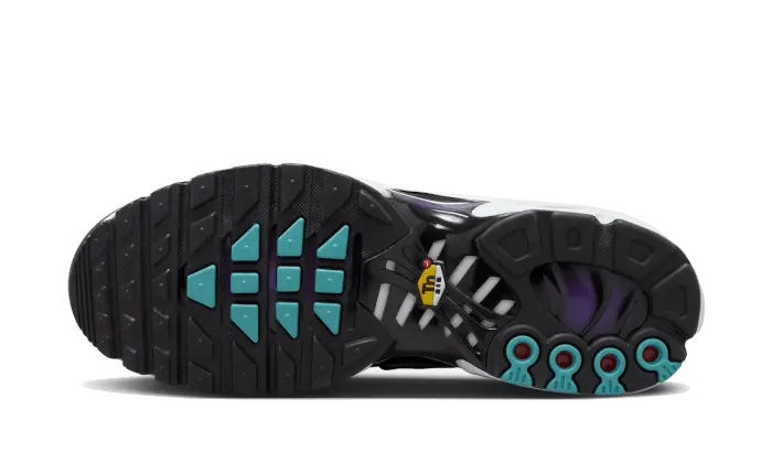 Nike Air Max Plus Tn Reverse Grape Nike