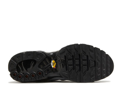 Nike Air Max Plus Utility Wolf Grey Black Nike