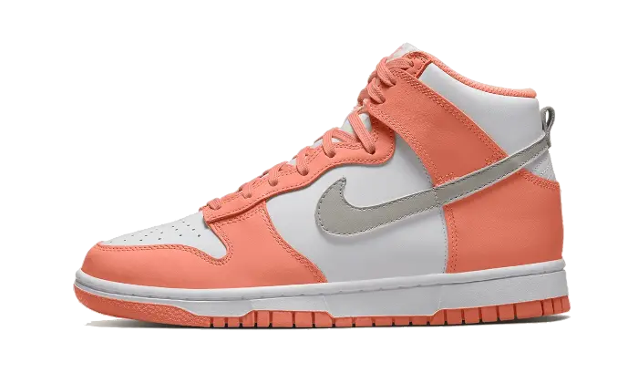 Nike Dunk High Salmon Grey Nike